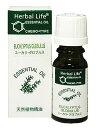 商品説明「生活の木 Herbal Life ユーカリ・グロブルス 10ml」は、日本アロマテラピー協会の表示基準適合認定精油。高品質な精油を世界中のパートナーファームから直輸入し、ロットごとの分析表が添付されているので、安心してご使用いただけます。「ユーカリ・グロブルス」はクリアで鋭い、体に染みとおるような清々しい香り。芳香浴、お風呂、希釈してマッサージなどにお使いください。*季節や天候により、原産国が予告なく変更になる場合があります。*容器切り替え中のため、キャップの色が画像と異なる場合があります。学名Eucalyptus globulus抽出部位葉・枝抽出方法水蒸気蒸留法原産国中国使用上の注意●精油の原液を直接飲んだり、肌につけたりは絶対にしないでください。●目、目のまわり、くちびる、その他粘膜質の部分には、希釈した精油であっても絶対に使用しないでください。●3歳以下の乳幼児には、マッサージ・お風呂などでのご使用は避けてください。●犬・猫・小鳥など小動物のいる部屋でオイルを焚く場合は換気にご注意ください。●誤飲、誤用を防ぐため、お子様の手の届かない所に保管してください。●天然のオイルのよい香りの中に長時間いると、香りを感じなくなることがあります。長時間の使用の際は適宜換気を行ってください。また、使用量については各各の用途に応じた適量をご使用ください。●ご使用の際は火気には充分ご注意ください。 発売元　生活の木 内容量：10mlサイズ：30*30*75(mm)JANコード：　4954753035214※パッケージデザイン等は予告なく変更されることがありますユーカリとはコアラの食べ物として良く知られるユーカリは、清涼感のあるフレッシュな香りがします。ティートリーとも似ていますが、ユーカリのほうがよりシャープな香りがします。 広告文責・販売事業者名:株式会社ビューティーサイエンスTEL 050-5536-7827※一部成分記載省略あり※メーカー名・原産国：パッケージ裏に記載。※区分：化粧品