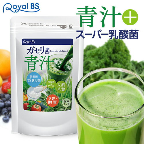 ガセリ菌青汁[ネコポス対応商品]送料無料 業務用 大容量 Royal BS 青汁 善玉菌 乳酸菌 腸活 菌活 プロバイオティクス 健康 美容 RoyalBS 日本製