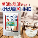 ◆ガセリ菌HMB 90粒◆[メール便対応商品]ガセリ菌 サプリメント 乳酸菌 HMB hmb サプリ クレアチン ダイエット時の栄養補給に 日本製