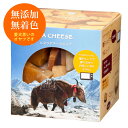 ヒマラヤチーズ チップ(約95g) Box入りでプレゼントにもおすすめ 正規品ヒマチー ペット 犬用おやつ 無添加 ヒマラヤチーズ100% 高タンパク 低脂肪 ...