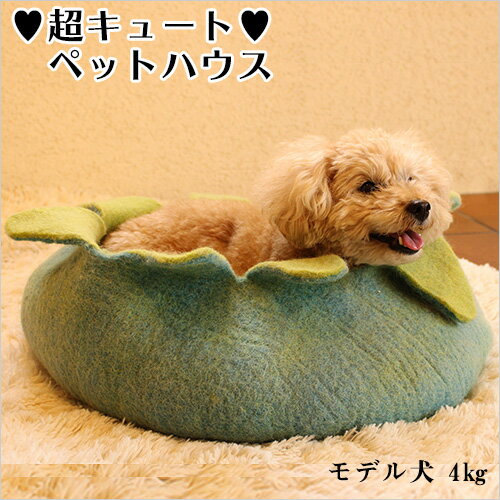 フラワー型 フェルト製 ペットハウス 犬 猫 ペット用 ベッド ハンドメイド ウール100％ 【necocoon】