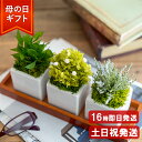 ＼ポイント5倍／ まだ間に合う 母の日 ギフト 洋風 プリザーブドフラワー おしゃれ GardenPot 母の日 プレゼント 誕生日 女性 母 祖母 女友達 苔 観葉植物 インテリア 新築祝い 友人 40代 50代 送別会 緑寿 お祝い 結婚祝い ははの日 花 ブリザードフラワー ギフト