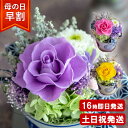 【200円割引クーポン】 母の日 早割 プリザーブドフラワー 和風 日和（ひより）枯れない 花 誕生日 プレゼント 女性 母 義母 祖母 卒寿 喜寿 古希 米寿 お祝い 米寿祝い 喜寿祝い 古希祝い 紫 定年 退職祝い 送別会 お花 ははの日 ブリザードフラワー ギフト hahanohi