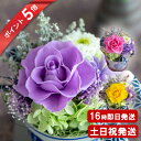 ポイント5倍 敬老の日早割クーポン 枯れない 花 プリザーブドフラワー 和風 バラ 誕生日 プレゼント 女性 母親 祖母 卒寿 喜寿 古希 米寿 お祝い 米寿祝い 喜寿祝い 古希祝い 紫 70代 80代 敬老の日 お花 退職祝い プレゼント ブリザードフラワー ギフト ケース入り 日和