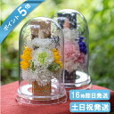 ポイント5倍 敬老の日早割クーポン 仏花 プリザーブドフラワー お供え ドーム 花器付き 御供えアレンジ ケース入り 仏壇用 お供え 花 お悔やみ 贈り物 お盆...
