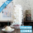 ポイント5倍 敬老の日早割クーポン お供え プリザーブドフラワー 仏花 花器付き 御供えアレンジ ドーム型 ケース入り 仏壇用 花 お供え お悔やみ 法事 お供...
