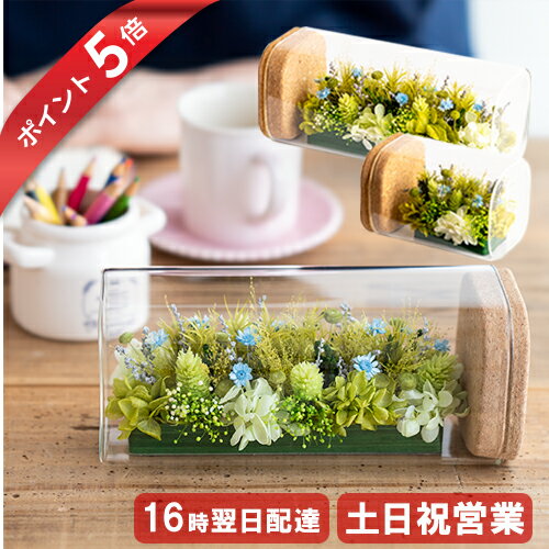【年末年始営業】 プリザーブドフラワー ガラスドーム 観葉植物 枯れない 花 退職祝い 誕生日 プレゼン..