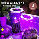 植物育成ライト two head 植物ライト LED成長ライト 屋内植物 フルスペクトル 5V USB 植物ライト 室内栽培 観葉植物 植物成長促進用ランプ 野...