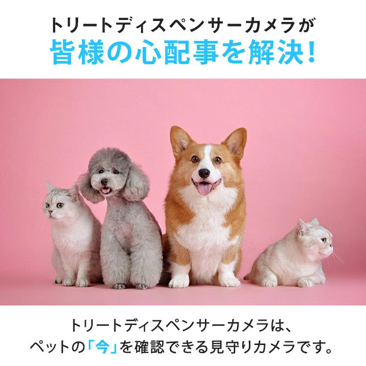 ペットカメラ スマホ操作 Iphone Android 対応 トリートディスペンサーカメラ ドッグカメラ ペット 会話 双方向会話 新製品情報も満載 留守番 簡単 写真 録音 動画 スマホ アプリ