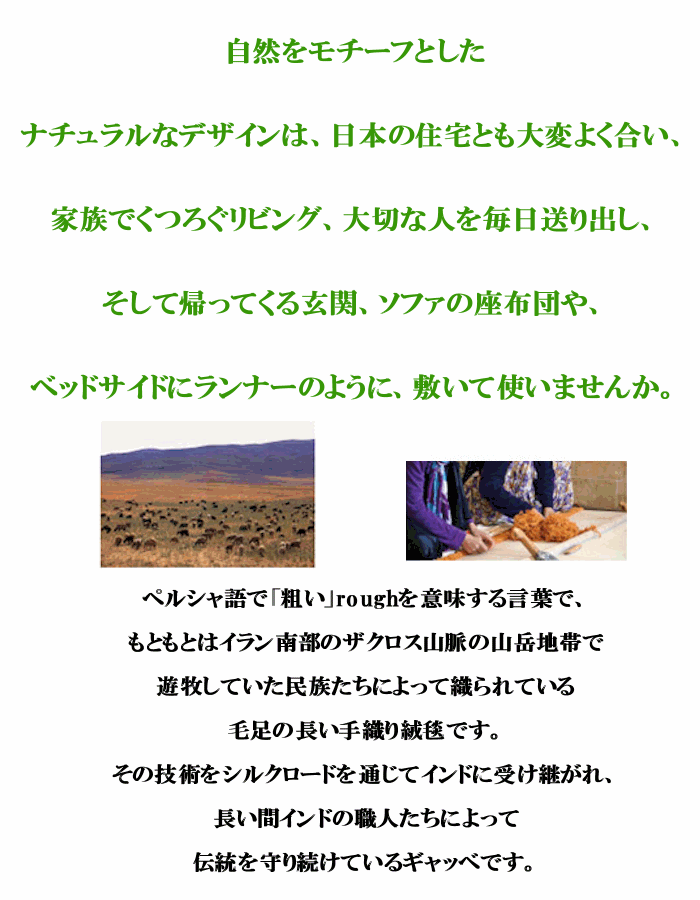 【全厚 20 mm】 玄関マット ギャベ ギャッベ 絨毯 45×75 インド手織 100% ウール 厚手 ラグカーペット ラグマット ラグ カーペット ホットカーペット ペルシャ 遊牧民 キリム 暖かい シャギー 短毛 こたつ敷き じゅうたん 毛足が短い ホットカーペットカバー 2