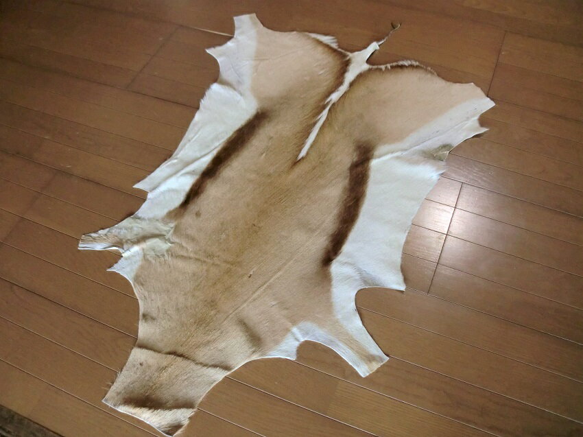 楽天市場】鹿 毛皮（カーペット・マット・畳｜インテリア・寝具