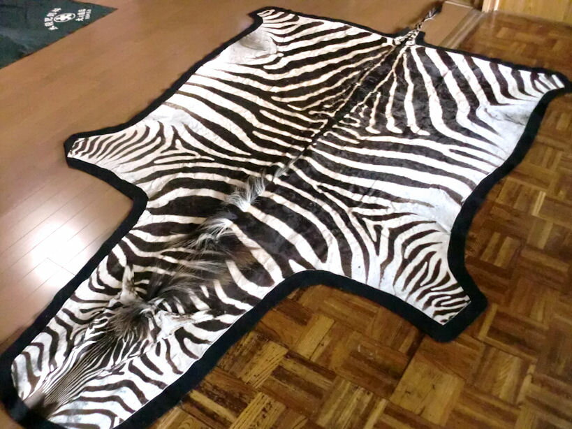 【送料無料】ゼブラ敷物約317×178cm■シマウマ■ ラグマット 北欧 夏 カーペット 絨毯 ゼブラ柄/ 毛皮 壁掛 オブジェ♯A頭♯ 剥製 革 ■ゼブラ柄/アフリカ地域/アニマル皮本革敷物カーペット