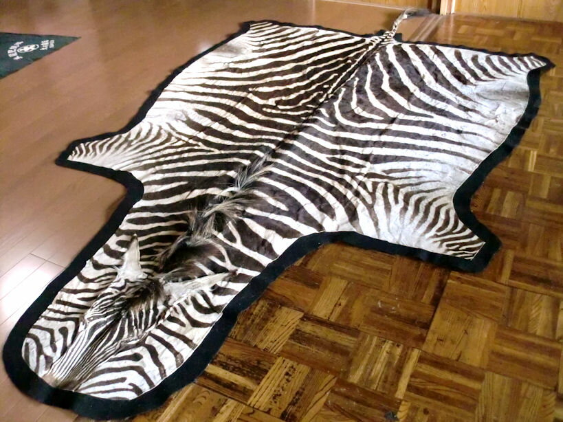【送料無料】ゼブラ敷物約309×175cm■シマウマ■ ラグマット 北欧 夏 カーペット 絨毯 ゼブラ柄/ 毛皮 壁掛 オブジェ♯A頭♯ 剥製 革 ■ゼブラ柄/アフリカ地域/アニマル皮本革敷物カーペット スーパーSALE