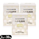 (最強翌日配送対応)(乳酸菌サプリメント)LCH ハタ乳酸菌 2g×30包入×3個セット(計90包) - 生きたまま凍結乾燥加工【smtb-s】