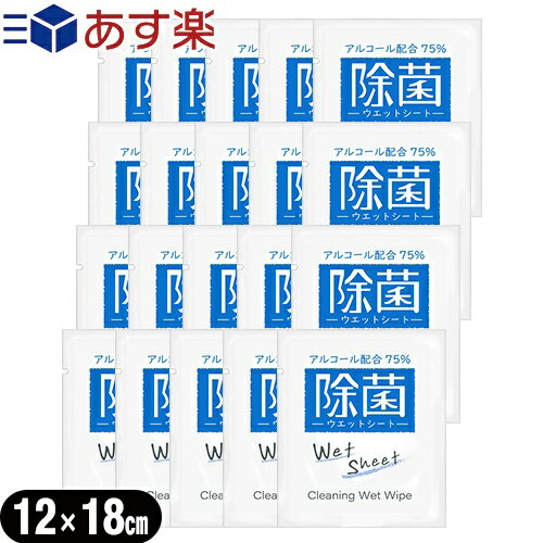 (あす楽発送 ポスト投函 )(送料無料)(ホテルアメニティ)業務用使い捨てアルコール配合ウェットシート(おてふき)x20個 セット - 除菌シート。アルコール濃度75 携帯に便利な個包装タイプ。Cleaning Wet Wipe 【ネコポス】【smtb-s】