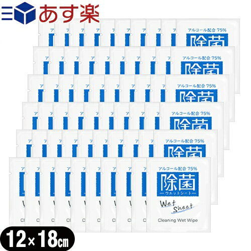 (あす楽発送 ポスト投函!)(送料無料)(ホテルアメニティ)業務用使い捨てアルコール配合ウェットシート(おてふき)x60個 セット - 除菌シート。アルコール濃度75%、携帯に便利な個包装タイプ。Cleaning Wet Wipe!【ネコポス】【smtb-s】