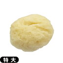 ◆(メール便(定形外) ポスト投函 送料無料)(天然スポンジ)ユタカ 天然海綿スポンジ (NATURAL SEASPONGE ナチュラル・シースポンジ) 特大サイズ (約8.5x5x5cm) - お肌に優しい海からうまれた天然海綿スポンジ。 ※完全包装でお届け致します。【smtb-s】