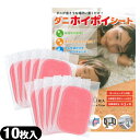 (防虫・防ダニ・防蚊用品)(日本製)ダニホイポイシート 10cm×15cm 日付シール付き 10枚入 - ダニがいそうな場所に置くだけ!殺虫剤不使用!オールシーズン対応。効果長持ち約3ヵ月!(3)