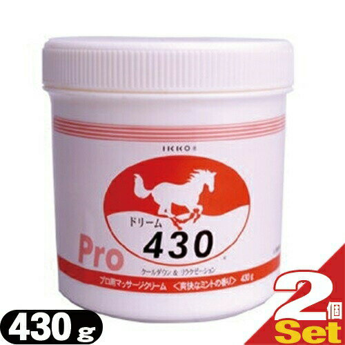 (最強翌日配送対応)(一光化学株式会社)ドリーム430( 430g )x2個セット - クールダウン専用!【smtb-s】