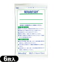 (貼付型冷却材)(アイシング)(冷却シート)テイコクファルマケア ウォレッシュ(WARESH) 6枚入り×1袋 - 冷却やスポーツ後のクールダウンに！