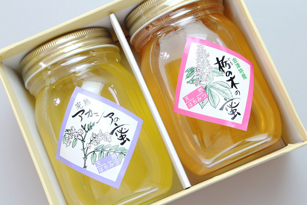 【ハニー松本】 はちみつ花グルメセット 500g×2