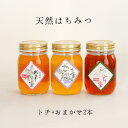 【旬食福来】【ハニー松本】天然蜂蜜500g×3個 栃の木・2品おまかせ