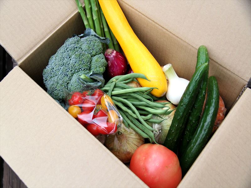 野菜ソムリエ厳選!旬の野菜詰め合わせ(7~8品目)