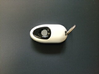 Rakuten - リモコンキー　DASZ745