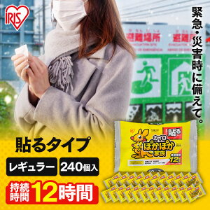 カイロ 貼る 240枚入り PKN-10HR 貼るカイロ 持続時間12時間 10枚×24袋セット 使い捨て 防寒 腰 脇 背中 冬 持ち運び 寒さ対策 衣服 服 冷え 使い捨てカイロ ぽかぽか家族 レギュラー アイリスオーヤマ アイリスカイロ【売変X】