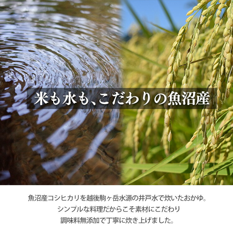 おかゆ レトルト お粥 250g もち麦 発芽玄米 コシヒカリ使用 低温製法米 レトルト...