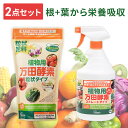 肥料 植物 万田酵素肥料 植物用万田酵素 粒タイプ&スプレータイプセット 粒タイプ ストレート(スプレー)タイプ 肥料 植物 植物活力剤 活力剤 栄養剤 液肥 家庭菜園 観葉植物 野菜 万田酵素肥料 植物用万田酵素 スプレー 粒状 液体 アイリスオーヤマ