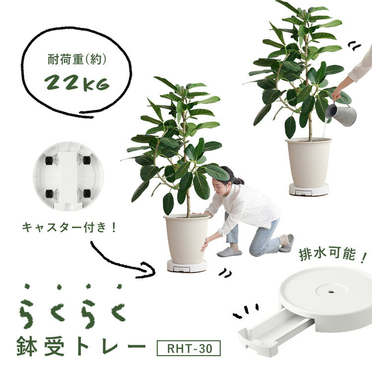 ȭ�֤� ���㥹�����դ� 10�� ȭ�� ����ȭ�� ȭ�֤��� ���㥹�����դ� �ӿ�ȥ졼�դ� �ץ��ȥࡼ�С� ����ȭ�ȥ졼 ȭ�� �ץ�󥿡��� �ץ�󥿡�������� �ե�������� ���տ�ʪ ������� �ۥ磻�� �����ꥹ������� RHT-30