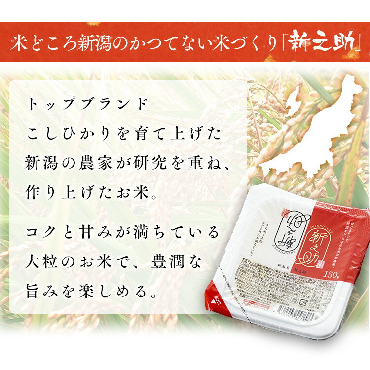 【P5倍★10日20時〜4H限定】新之助パックご飯 150g×24パック 低温製法米のおいしいごはん パックごはん パックご飯 パック米 パック 米 ごはん ご飯 低温製法 低温製法米 保存 備蓄 非常食 アイリスフーズ