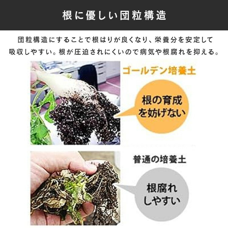 ��P5�ܡ�10��20����4H����ۡ�4�ޥ��åȡ������� 5L GRBA-5 ������ǥ�γ�������� ���� ��ʬ �� ��� γ�� �����ǥ˥� �����ǥ� ��Ϥ� �̵��� �ݿ��� �ӿ��� ��Ǯ���� �� ���� ��� �����ڱ� ��ں�� ���� ���� �鿴�Ը��� �� �����ꥹ������� IRIS OHYAMA