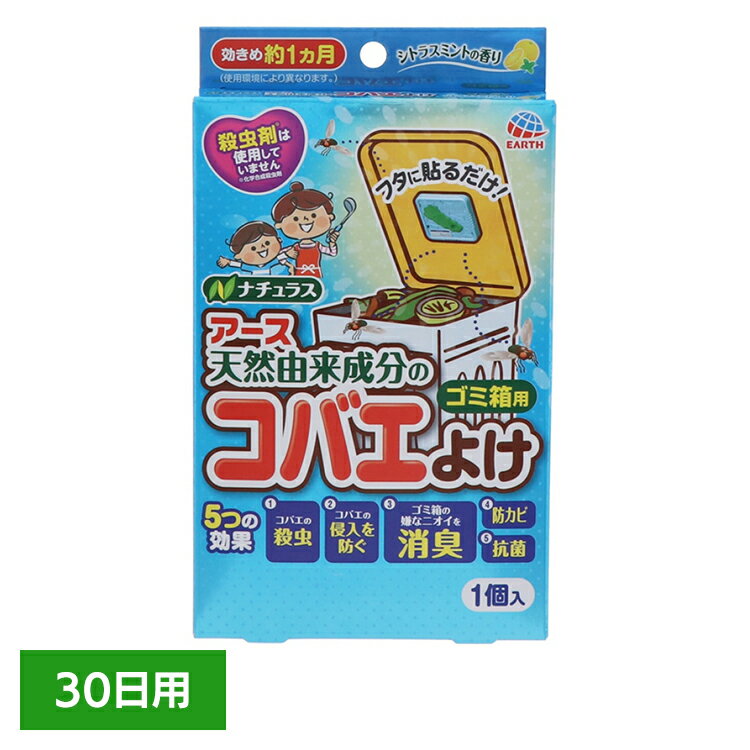 虫ケア用品 虫よけ 小バエ コバエこないアース ゴミ箱用 シトラス ミント 30日用 アース あーす 駆除 防虫 ゴミ箱 キッチン 台所 消臭 アース製薬