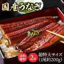 【2尾】特大鰻(約200g/尾) うなぎ かば焼き 国産 鰻蒲焼 冷凍 400g 目利き 厳選 大阪中央卸売市場 土用 Tokka 【TD】 【代引不可】