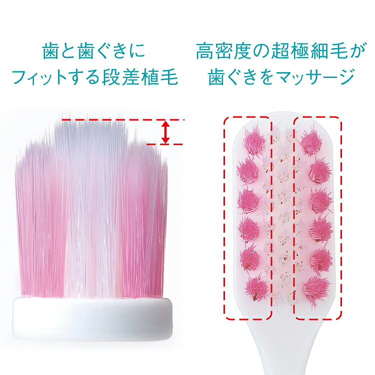 �����ƥ� �ϥ����ץ饹 �ץ�ߥ��� �ϥߥ��� 4�����åȡʥϥߥ������ϥ֥饷��2���ǥ󥿥��󥹡� �饤���� ������ͽ�� LION �������ϡ��֥ߥ�� ���쥬��ȥե롼�ƥ����ߥ�� �ե�å��奯�ꥹ����ߥ�� �ϥ֥饷/���餫�� �դĤ�