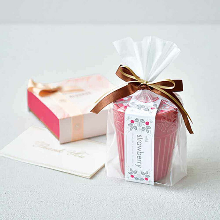 ��P5�ܡ�10��20����4H����ۥ��쥤�� �����ǥ� GD-103101 GD-103102 GD-103103���ݥ��å� ���ݥ��å� �磻��ɥ��ȥ��٥꡼ �ߥ˥ҥޥ�� �ͤ��դΥ������С� ����ƫ�� GraceGarden ���ե� ƫ�����ݥå� SEISHIN �磻��ɥ��ȥ��٥꡼ �ߥ˥ҥޥ�� �ͤ��դΥ������С�