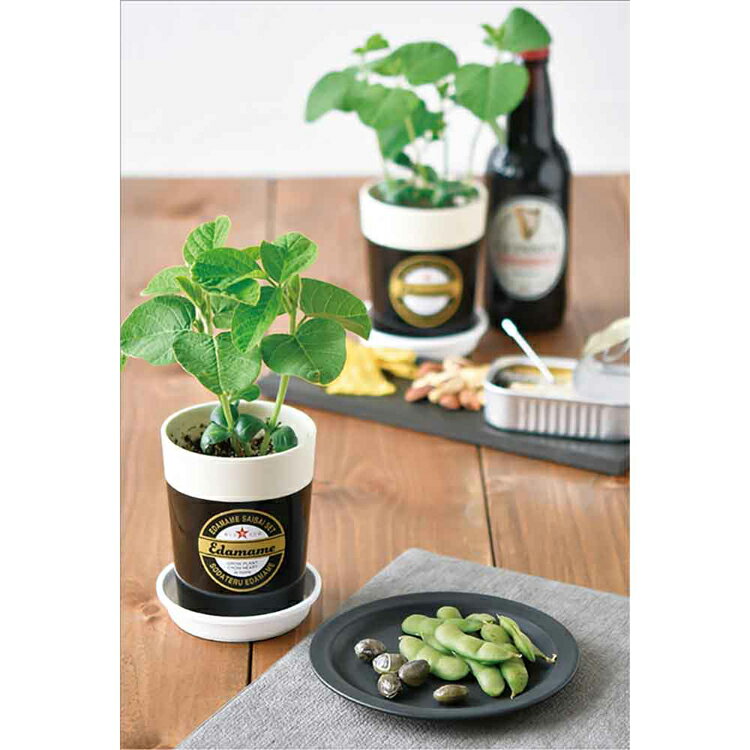 ��P5�ܡ�10��20����4H����ۡ�2�糧�åȡ۰�Ƥ뤨��Ʀ���ݥ��åȡʤ���Ʀ��������Ʀ�� ���ݥ��å� ���ݥ��å� �����ޤ� Ʀ ����ƫ�� SEISHIN ���ե�