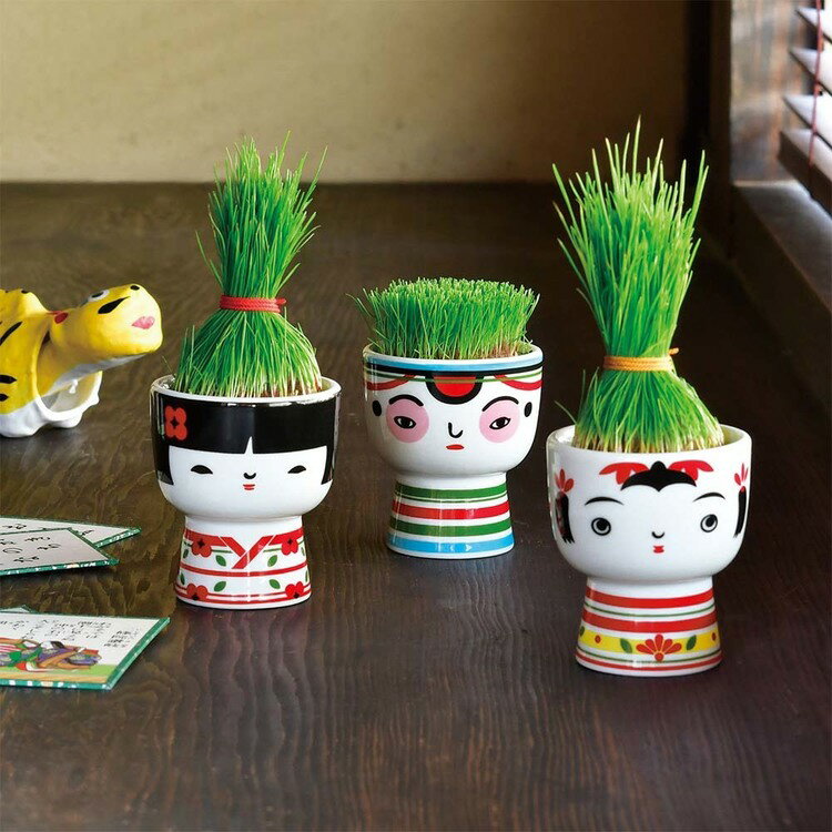【SALE★30%OFF】【3種セット】芝って栽培キット KOKESHI 栽培キット 栽培セット 芝...