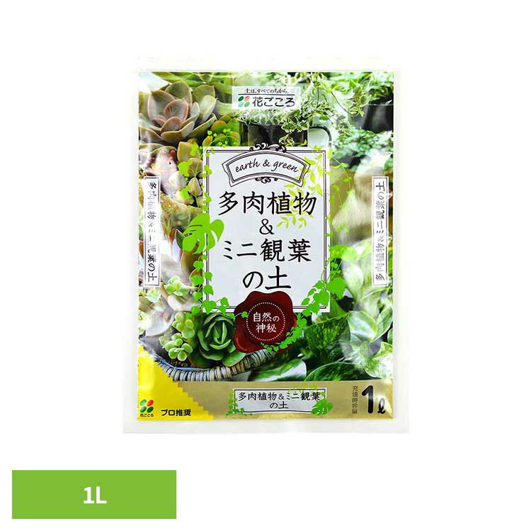 乐天商城 - 多肉植物＆ミニ観葉の土 1L 培養土 用土 安全 元肥 ゼオライト 根腐れ 排水性 多肉植物用 ミニグリーン 花ごころ