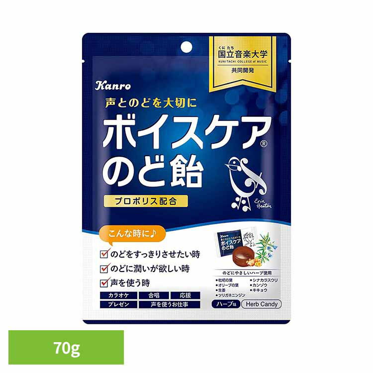 ボイスケアのど飴 お菓子 カンロ ボイスケア のど飴 のど おやつ 子供 カンロ 要