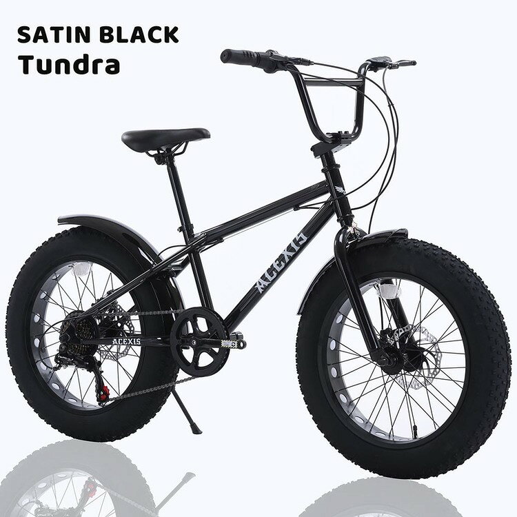 【完成車】ACEXISファットバイク TUNDRA ファットバイク BMX シマノ shimano 7段変...