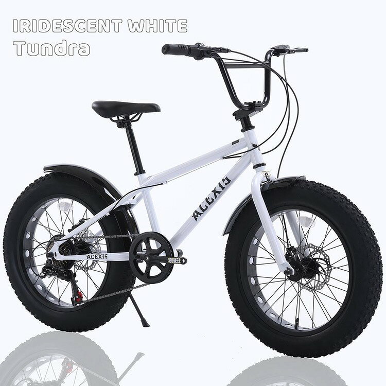 【完成車】ACEXISファットバイク TUNDRA ファットバイク BMX シマノ shimano 7段変...