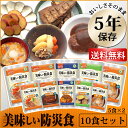 ■レビューを書いてパックご飯プレゼント■非常食 おかず 美味...