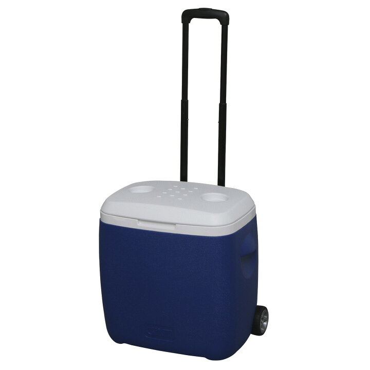 クーラーボックス 28L CB-G002-BLアウトドア レジャー 保冷ボックス 釣り キャンプ 【D】通販格安セール情報 楽天 通販