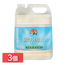 【3個セット】緑の魔女 ランドリー 業務用 5L ミマスクリーンケア 送料無料 服 5000mL 液 ...