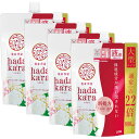 【4個セット】hadakaraボディソープ フレッシュフローラルの香り 詰替え用 大型サイズ 800ml hadakara ハダカラ ボディソープ フレッシュフローラル 詰め替え用 詰替え用 詰替用 つめかえ用 詰め替え 詰替え つめかえ ライオン LION ライオン