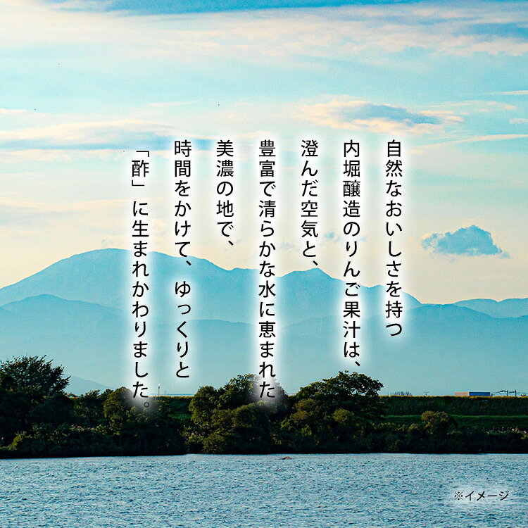 住まいと暮らしの110番のリンゴ酢 林檎酢 りんご酢 純リンゴ酢 美濃 有機純りんご酢 内堀醸造 360ml 6本セット 果実酢 豊かな香り おだやかな酸味 まろやかな甘味 有機りんご果汁 お酢 料理 サラダ ドレッシング ビネガー ドリンク 純りんご酢 * [2609SE]｜アングル3