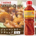 ジャーマンカリーケチャップ 送料無料 カレー ケチャップ スパイシー ポテト ソーセージ 卵料理 チーズ じゃがいも 調味料 まとめ買い ケンコーマヨネーズ 